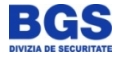 Bgs Logo