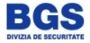 bgs-logo